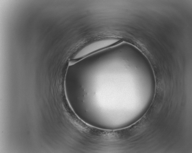 X0000080130402200612221902