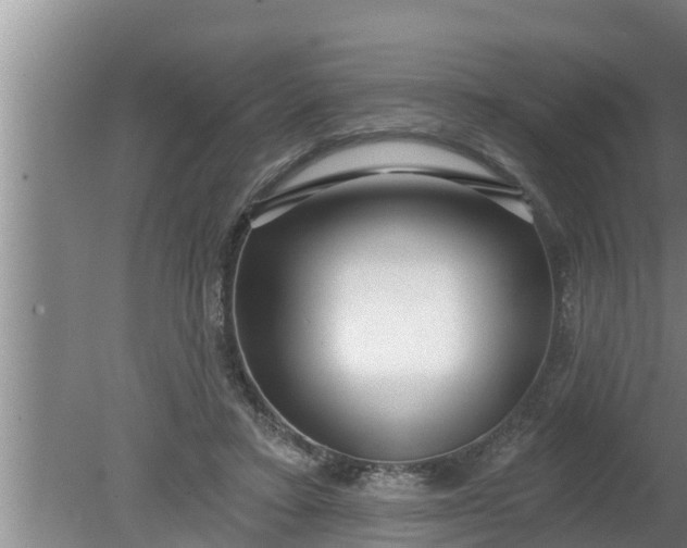 X0000080130403200612221902