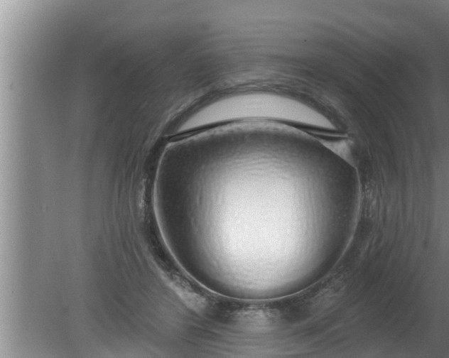 X0000080130404200612221902