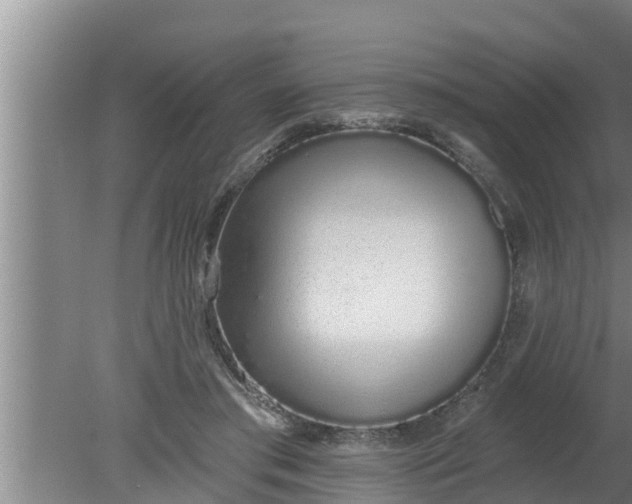 X0000080130405200612221902