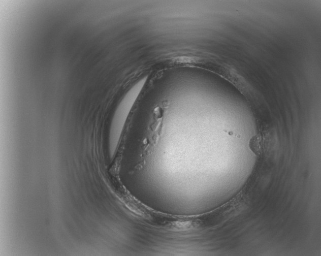 X0000080130406200612221902