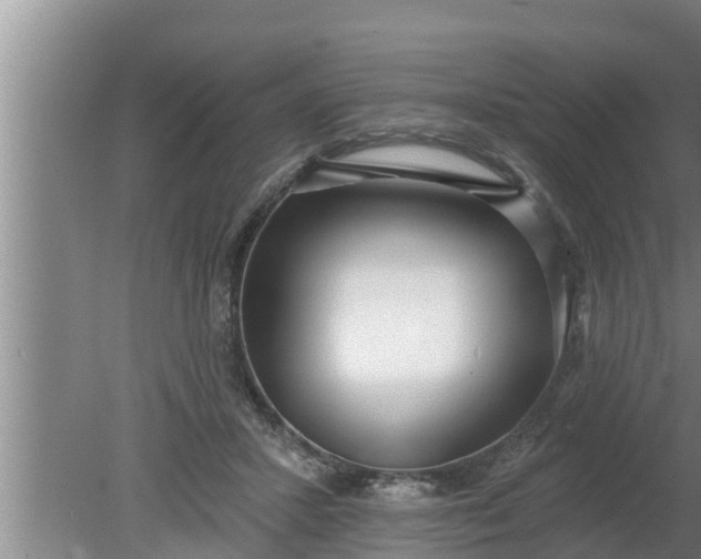 X0000080130407200612221902