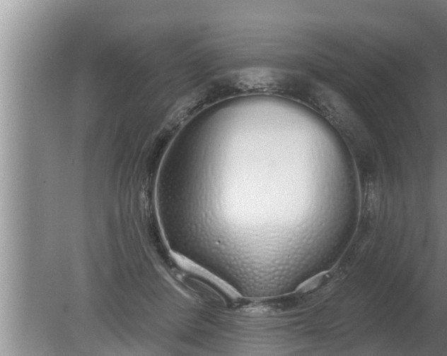 X0000080130408200612221902