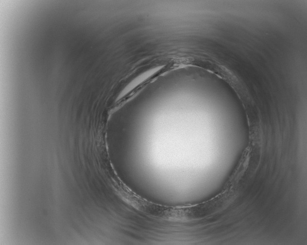 X0000080130409200612221902