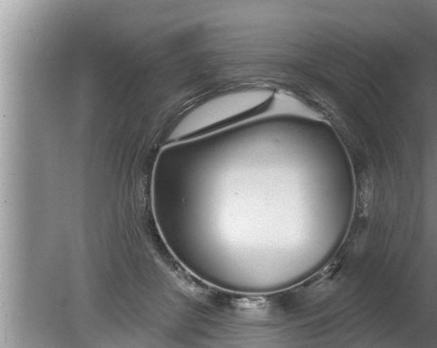 X0000080130410200612221902