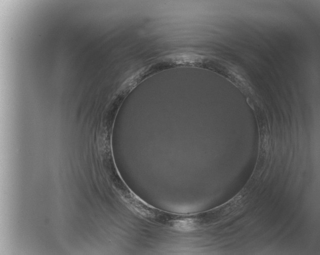 X0000080130411200612221902