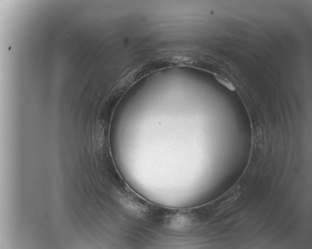 X0000080130412200612221902