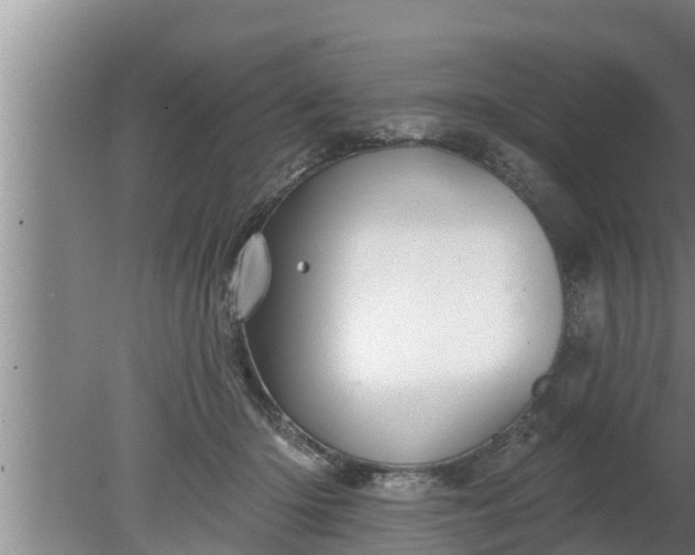 X0000080130414200612221902