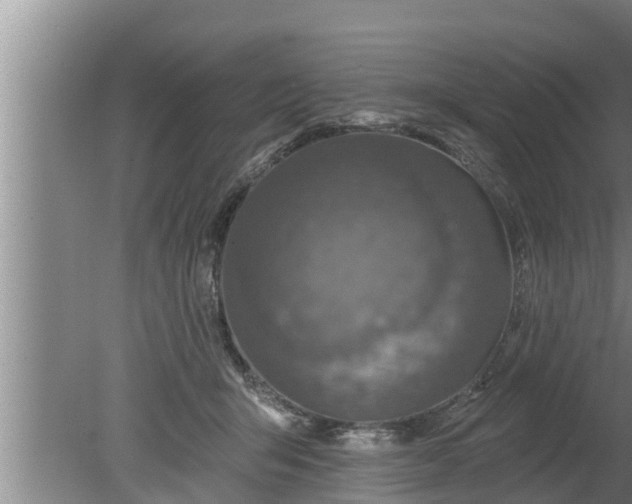 X0000080130415200612221902