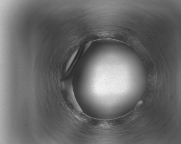 X0000080130416200612221902