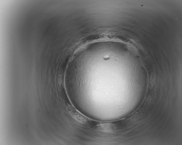 X0000080130417200612221902