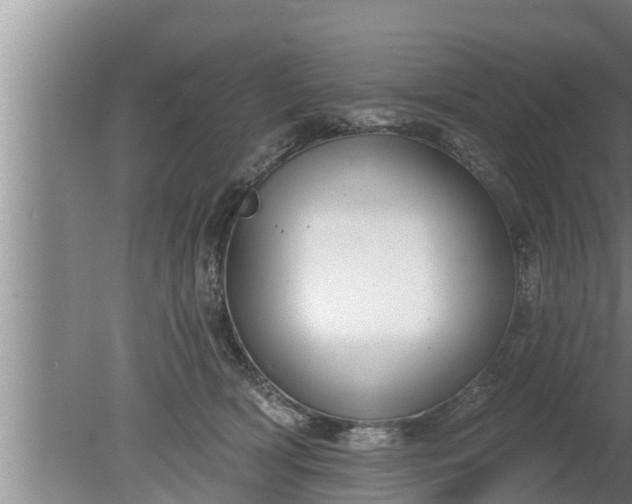 X0000080130418200612221902