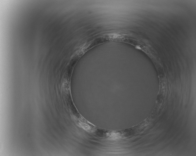 X0000080130419200612221902