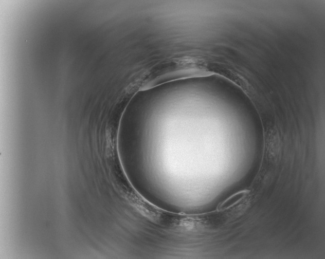 X0000080130420200612221902