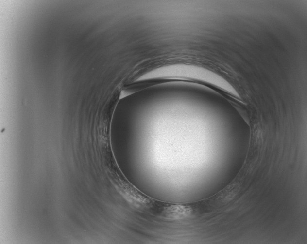 X0000080130421200612221902