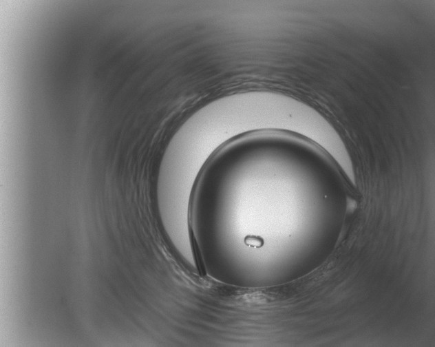 X0000080130423200612221902