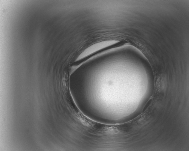 X0000080130424200612221902