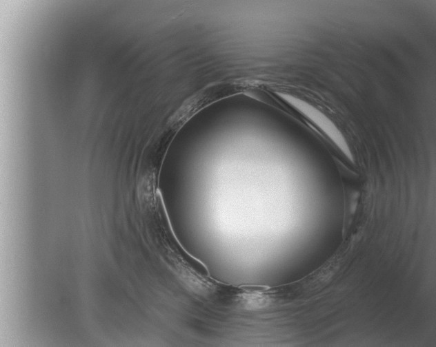 X0000080130425200612221902