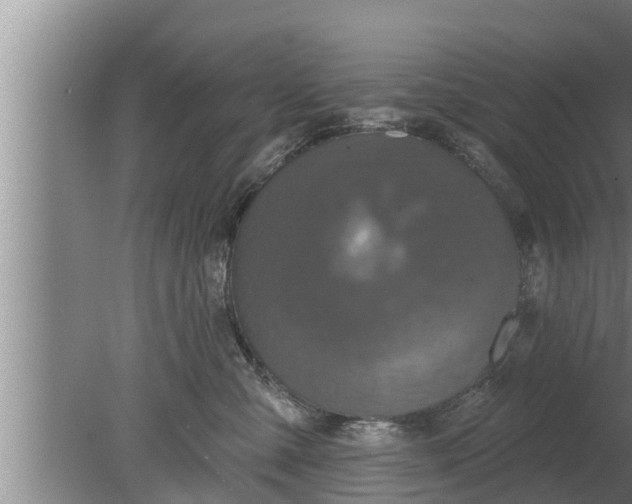 X0000080130427200612221902