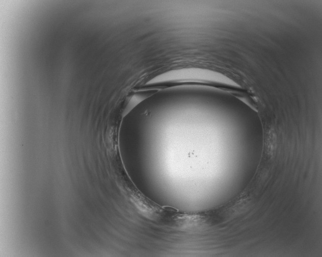 X0000080130428200612221902