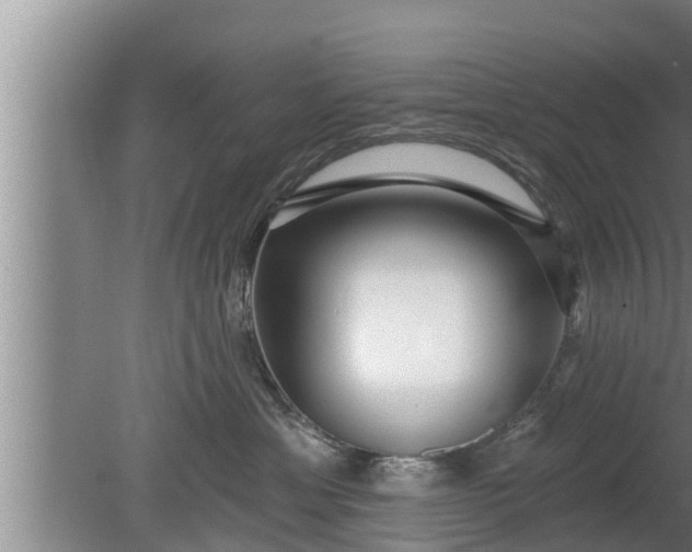 X0000080130429200612221902