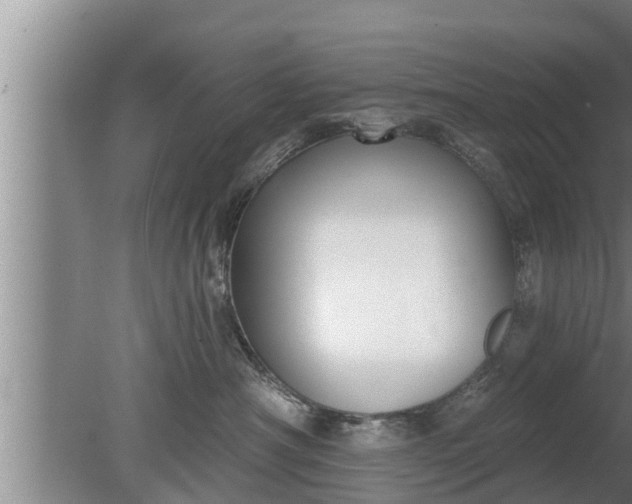 X0000080130430200612221902