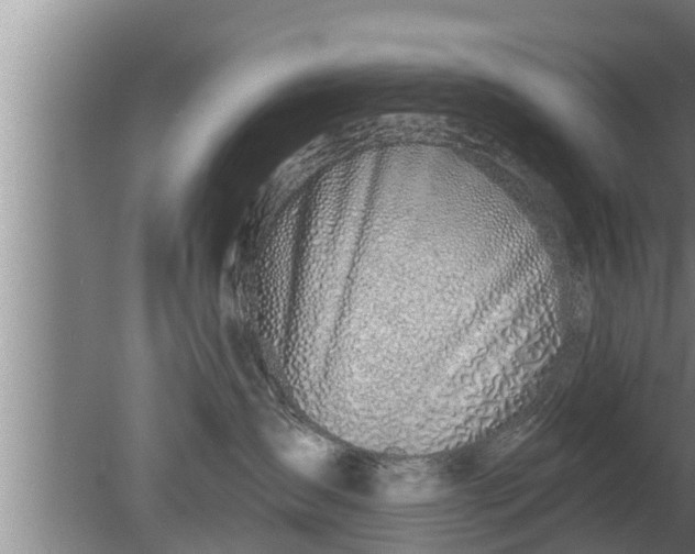 X0000080130431200612221902