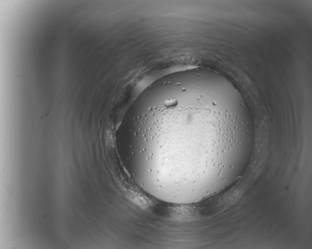 X0000080130432200612221902