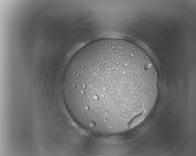 X0000080130433200612221901