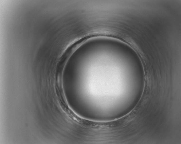 X0000080130434200612221901