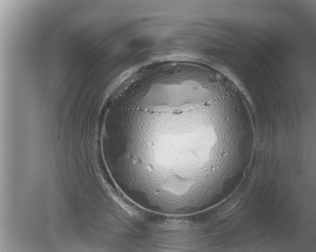 X0000080130437200612221901