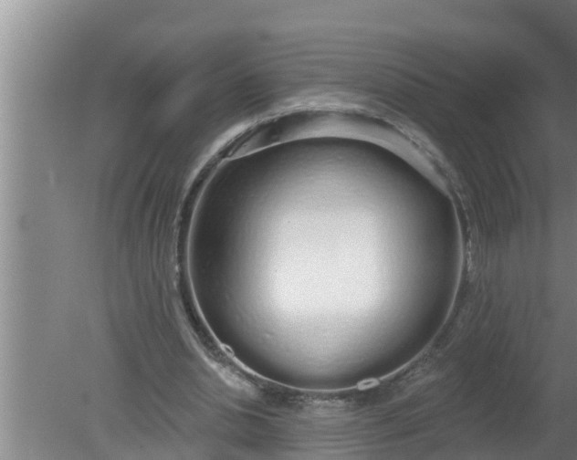 X0000080130438200612221901