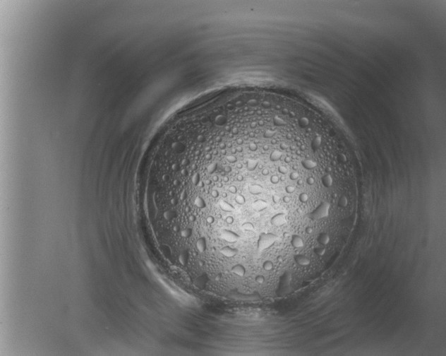 X0000080130439200612221901