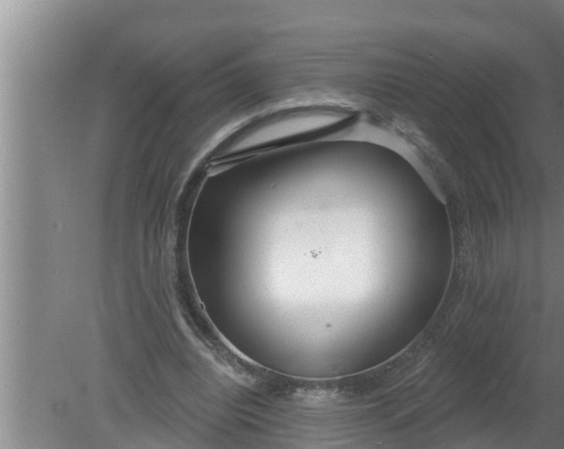 X0000080130440200612221901