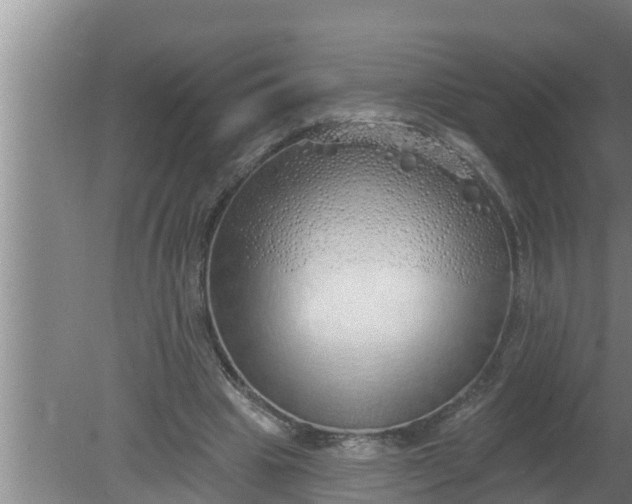 X0000080130441200612221901