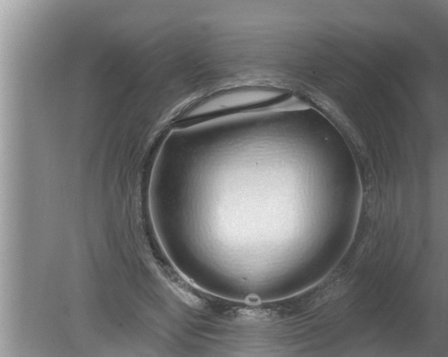 X0000080130442200612221901