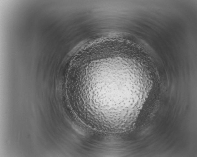 X0000080130444200612221901