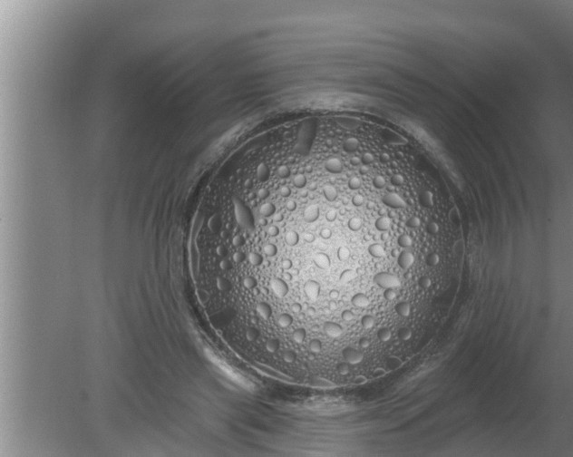 X0000080130445200612221901