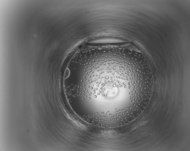 X0000080130446200612221901