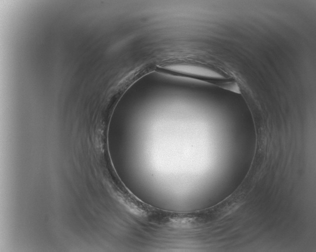 X0000080130450200612221901