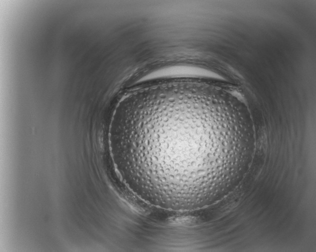 X0000080130452200612221901