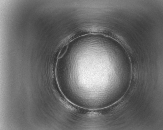 X0000080130453200612221901