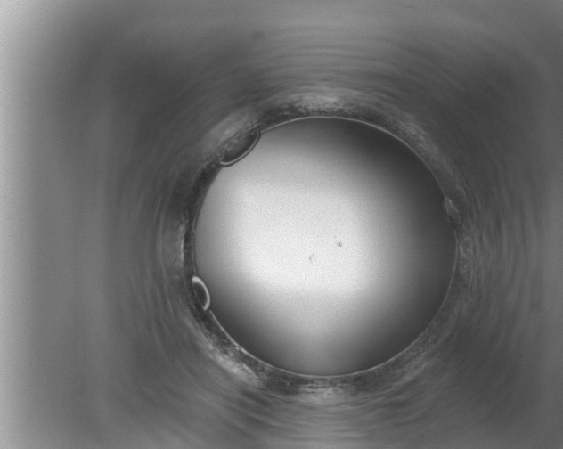 X0000080130454200612221901