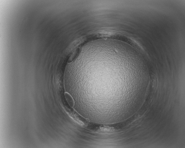 X0000080130455200612221901