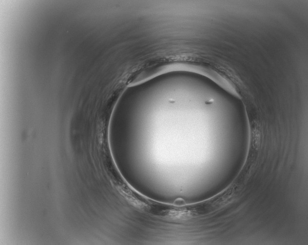 X0000080130458200612221901