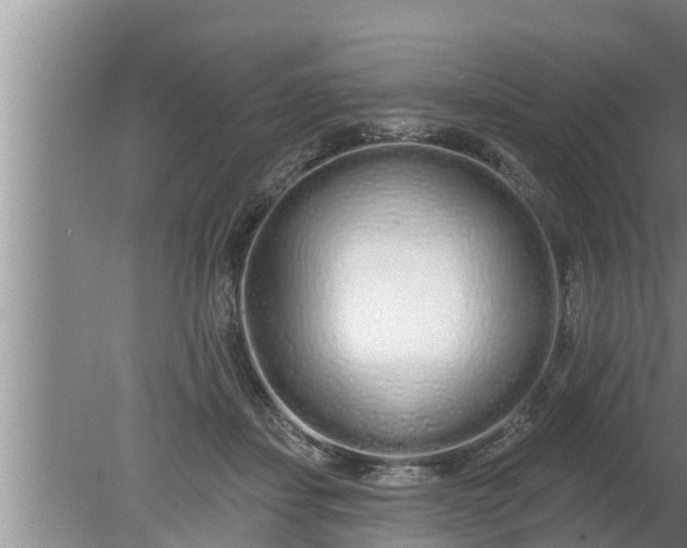 X0000080130459200612221901