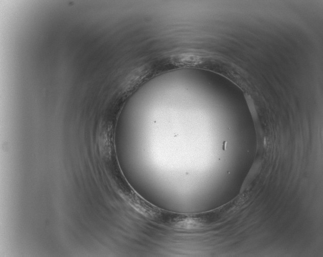 X0000080130460200612221901