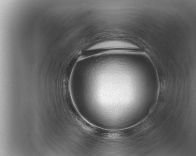 X0000080130462200612221902