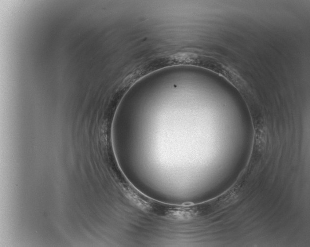 X0000080130466200612221902