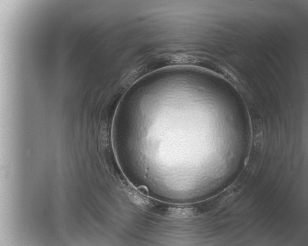 X0000080130469200612221902